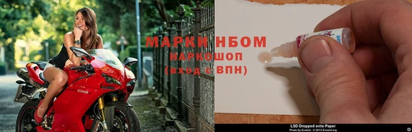 ПСИЛОЦИБИНОВЫЕ ГРИБЫ Белоозёрский