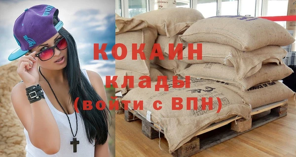 дмт Заводоуковск