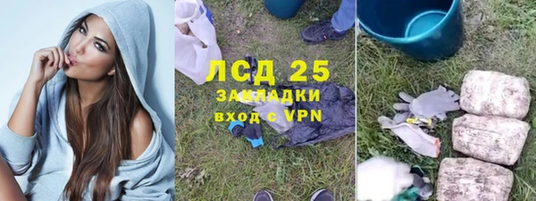 дживик Белокуриха