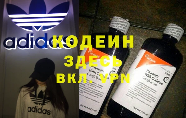 МДПВ Бородино