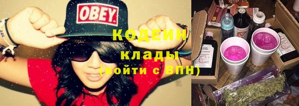 дживик Белокуриха
