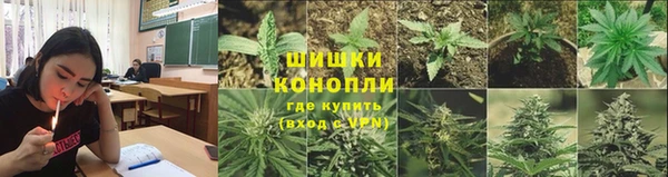 ПСИЛОЦИБИНОВЫЕ ГРИБЫ Горнозаводск