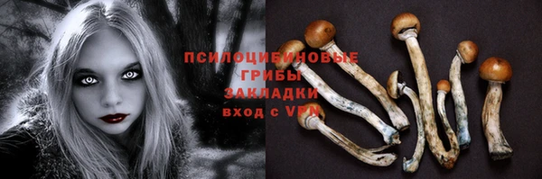 дурь Беломорск