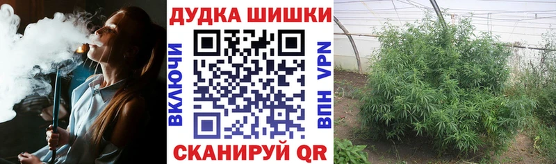 MEGA ONION  где продают наркотики  Бахчисарай  Конопля конопля 